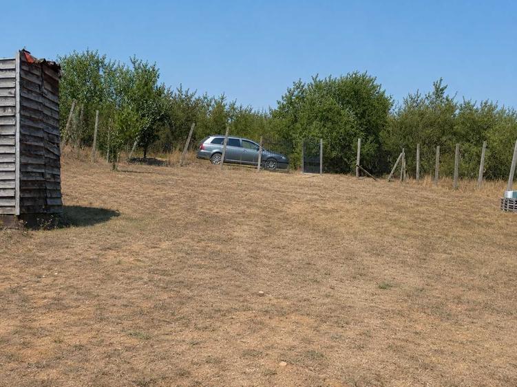TEREN DE VANZARE LIVADA DIN PALEU, in apropiere de Dealul Viilor - 5