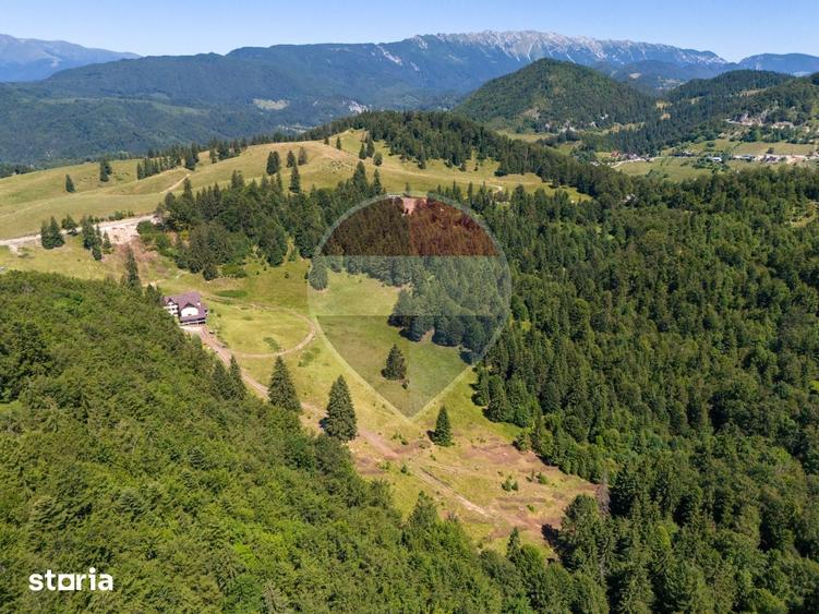 Teren premium 52.519 mp Dambovicioara, Arge? DN73 viitor intravilan - 17