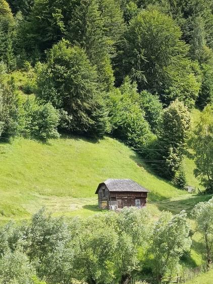 Teren intravilan - 5