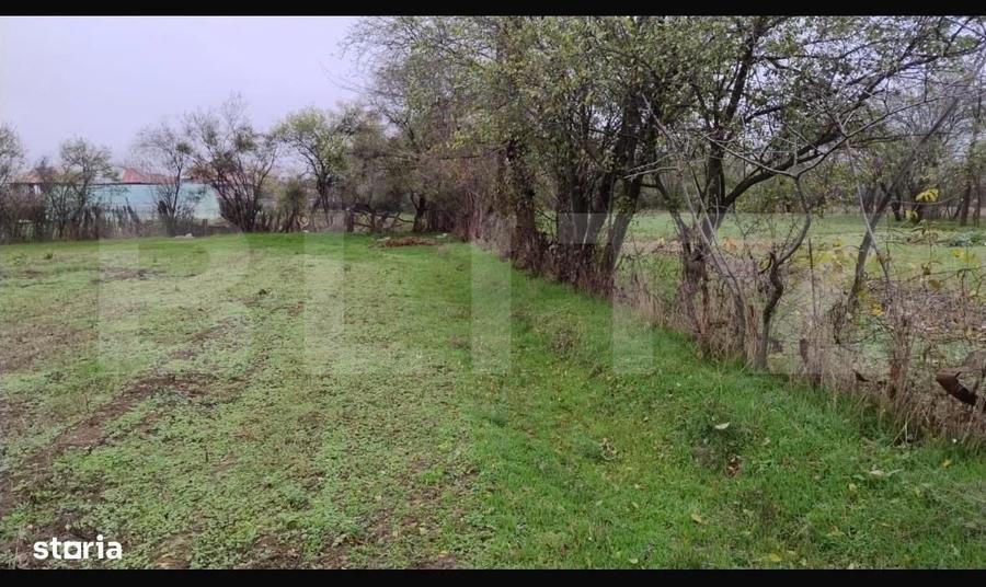 Spațiu comercial, în Boteni
