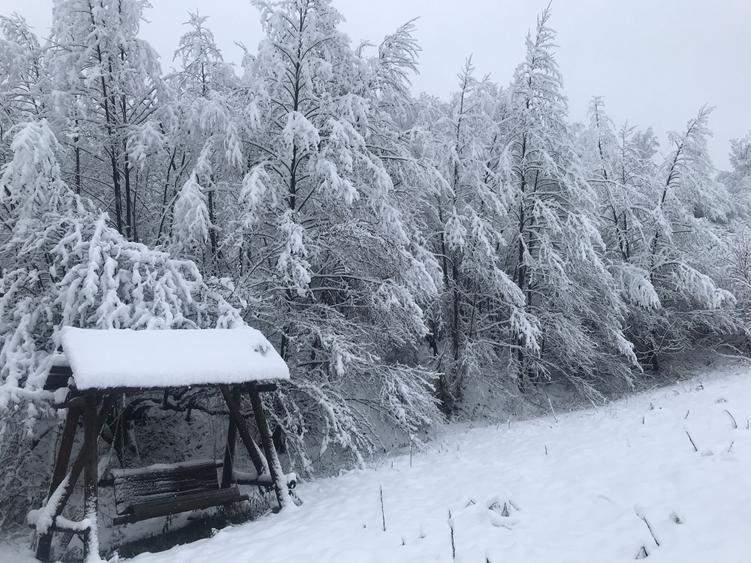 Casă cu 4 camere în Vlădești