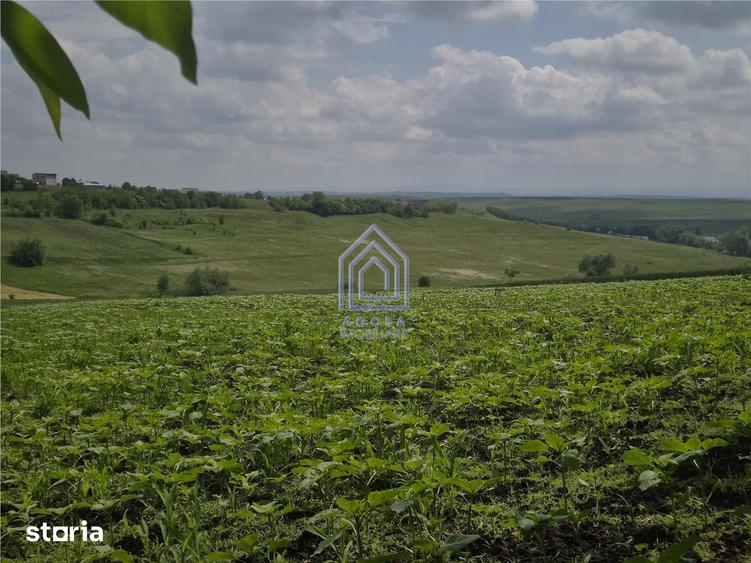 Teren intravilan Moara Nica - zona Scolii - 7