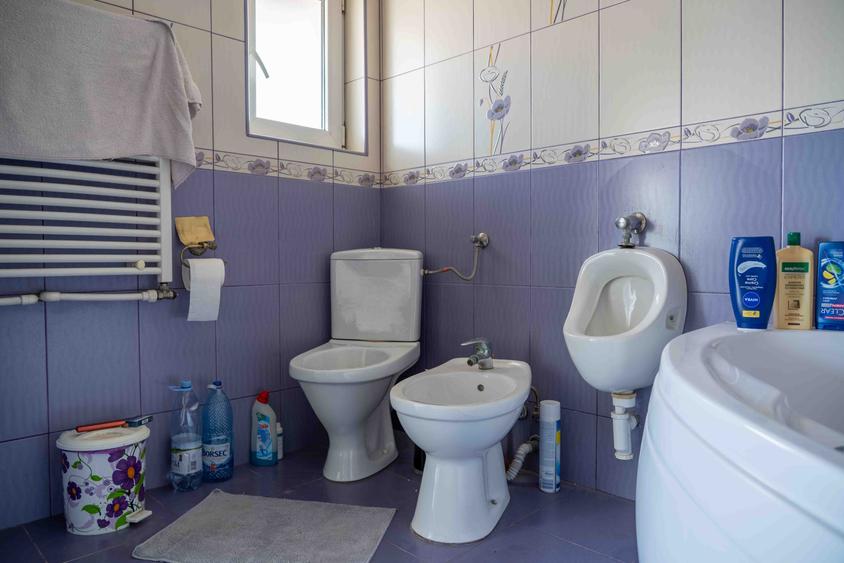 Casă individuală cu 10 camere cu Garaj în Chitila