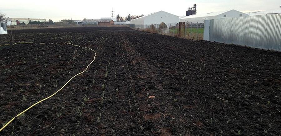 Teren agricol intravilan de 12000 mp, în Ierbuș