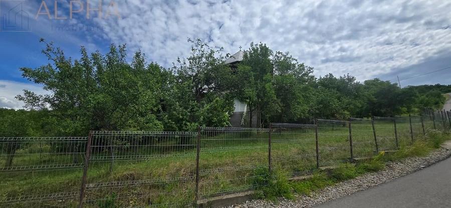 Casă cu 5 camere cu Teren 2320 Mp în Herina