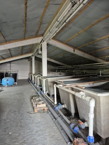 Casă cu 4 camere cu Teren 28000 Mp în Baba Ana