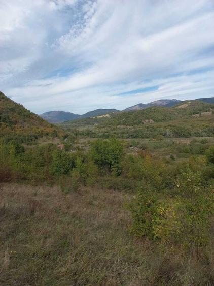 Teren de 7550 mp, în Mehadia