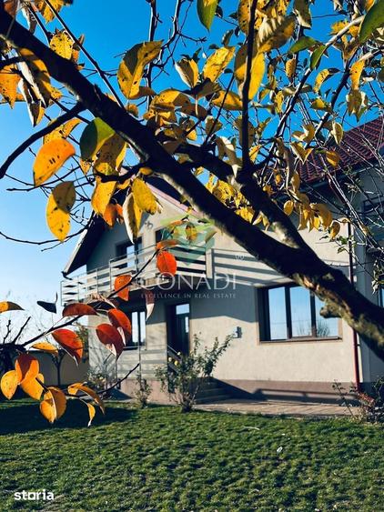 Vila cu teren si garaj in Ciolpani - 11
