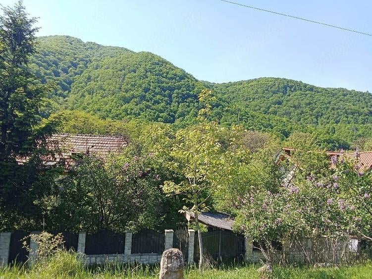 Teren de 1600 mp, în Central