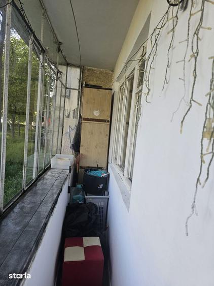 4 CAMERE - TOMIS BORD/CIRESICA - 15