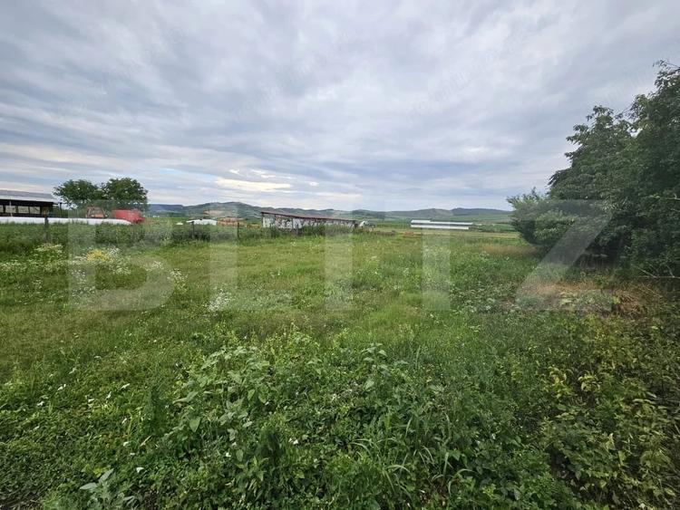 Casă cu 3 camere cu Teren 2698 Mp în Cistei