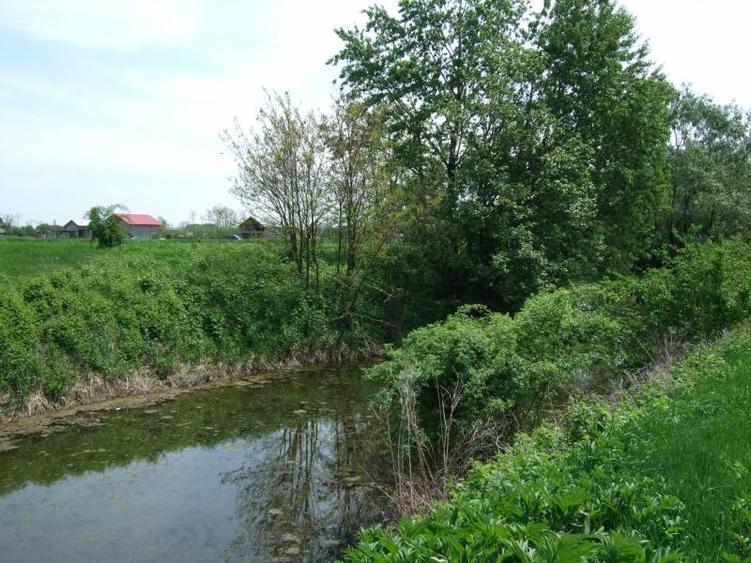 Casă cu 12 camere cu Teren 18000 Mp în Potlogi