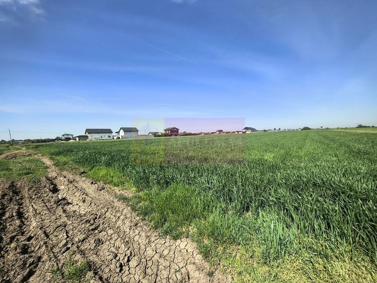 Teren Construcții intravilan de 2200 mp, în Dărăști-Ilfov