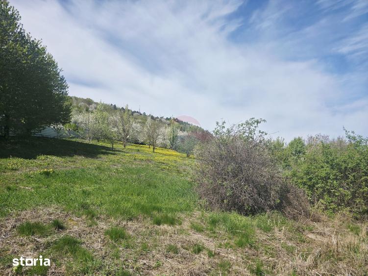 Teren 1,000mp Piatra-Neamt / Zona Fermelor - 4