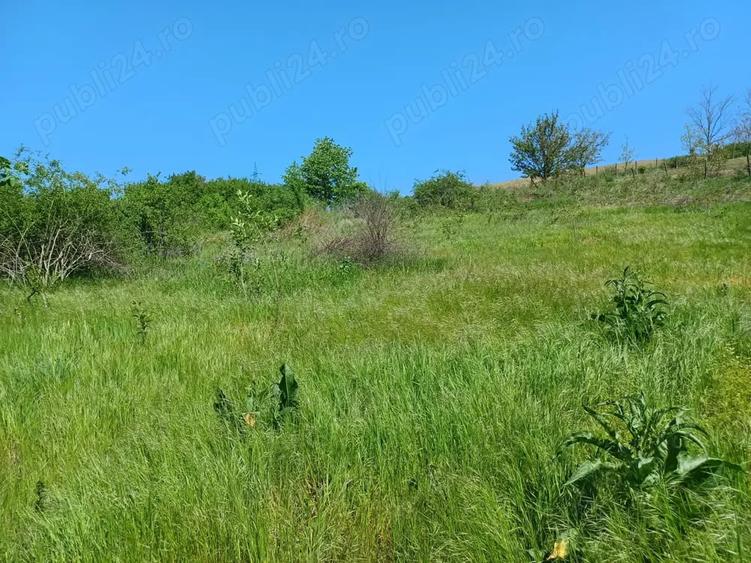 Teren de 1900 mp, în Cuza Vodă (Popricani)