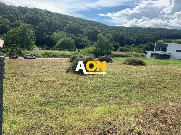 Teren Construcții intravilan de 675 mp, în Cetate