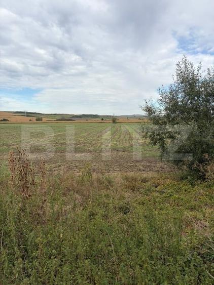 Teren Construcții de 3600 mp, în Cerghizel