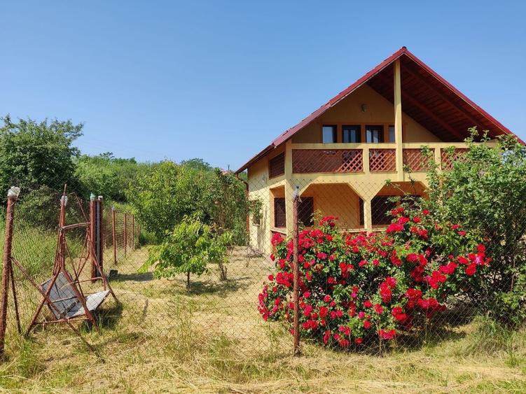 Casă individuală cu 3 camere cu Canalizare în Deușu