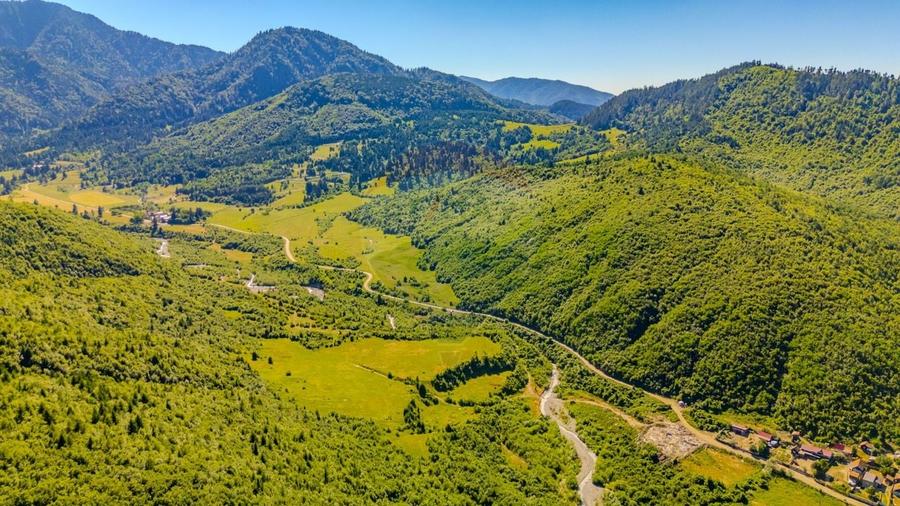 Teren Construcții intravilan de 128000 mp, în Gârcini