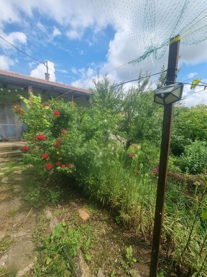Casă individuală cu 3 camere cu Teren 2000 Mp în Cotu Văii