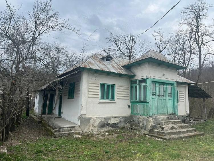 Casă cu 4 camere cu Teren 5000 Mp în Roești