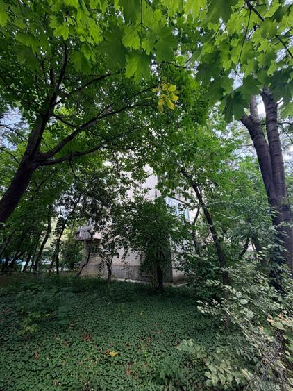 2 camere de vânzare în zona Gorjului | Bloc vechi - 18