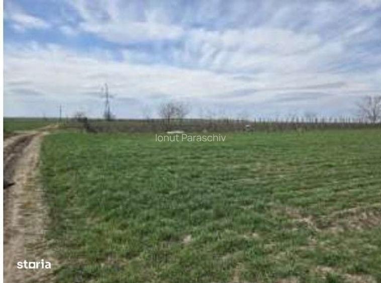 Teren extravilan Cota parte 29/64 Greaca, ID: R3030129