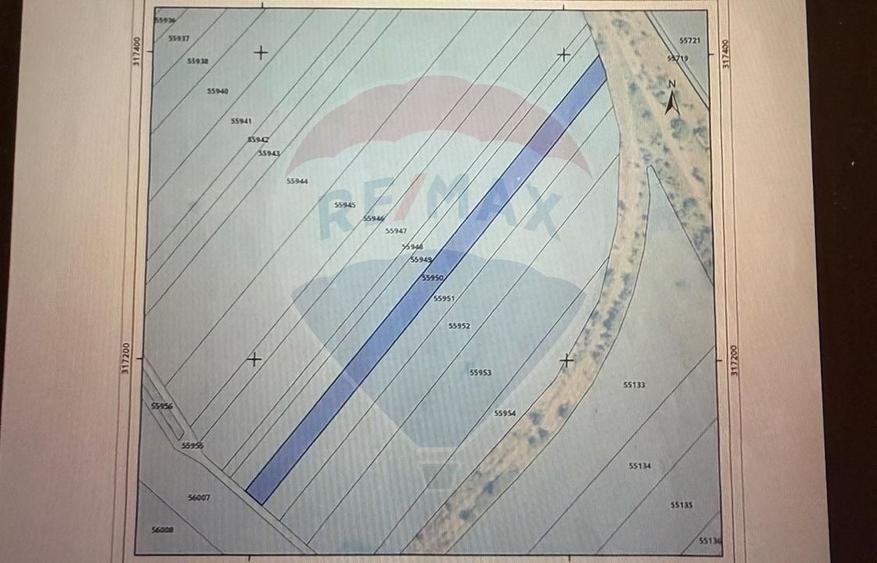 Teren agricol de 5000 mp, în Jilava