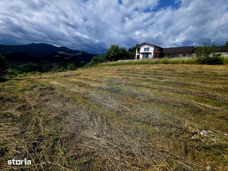 Teren de 600 mp, în Alexandru cel Bun