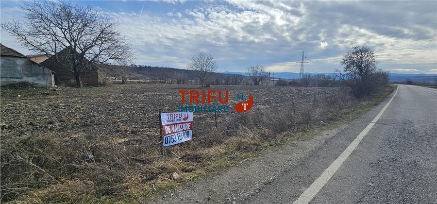 Teren Construcții intravilan de 8932 mp, în Șibot