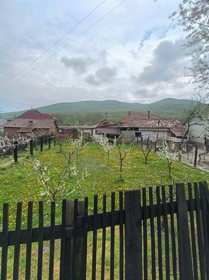 Casă individuală cu 3 camere cu Teren 1708 Mp în Ampoița