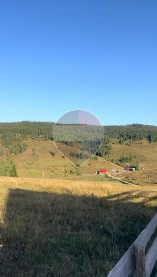 Teren agricol extravilan de 4914 mp, în Giurcuța de Sus