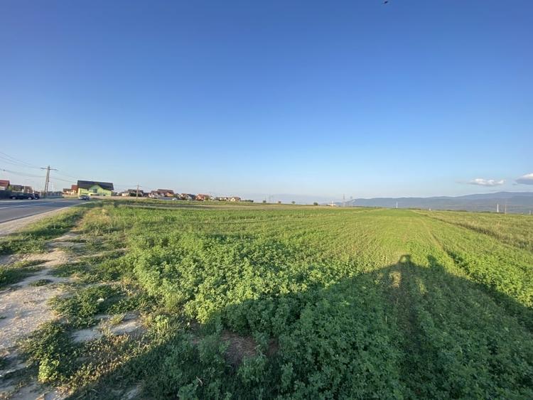 Teren agricol extravilan de 5750 mp, în Vulcan