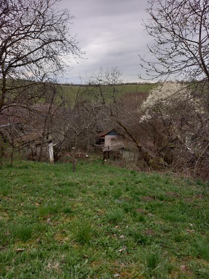 Teren Construcții intravilan de 2500 mp, în Dâmbu Pietros