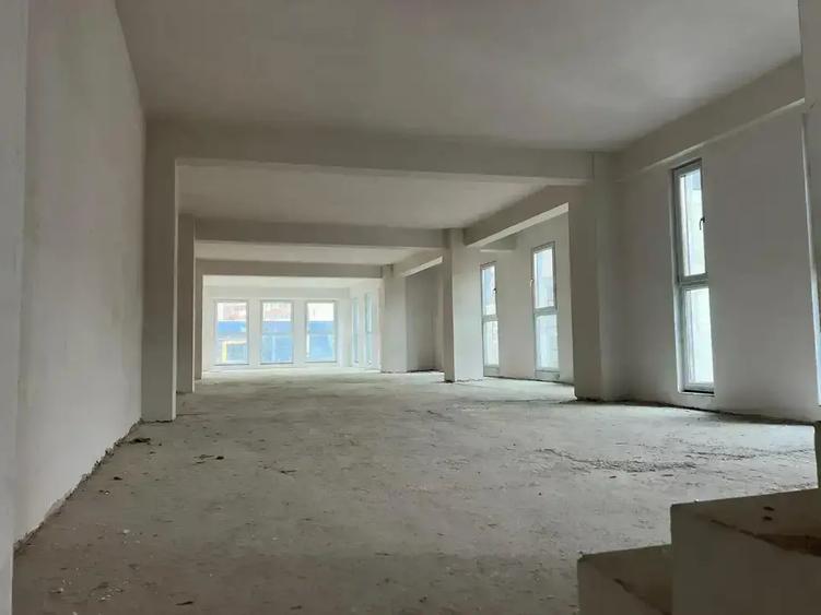 Spațiu comercial, de 700 mp, în Pache Protopopescu