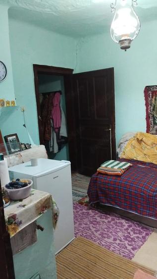 Casă cu Teren 2900 Mp în Izvoru (Gogoșari)