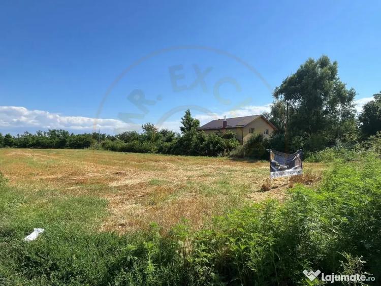 Teren Ogrezeni, stradal, cu utilitati - 3