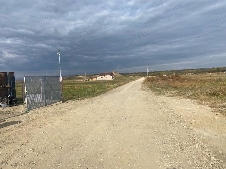 Teren de 3700 mp, în Mărăcineni