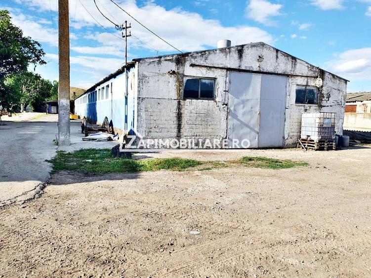 Spațiu industrial, de 1,000 mp, în Nazna