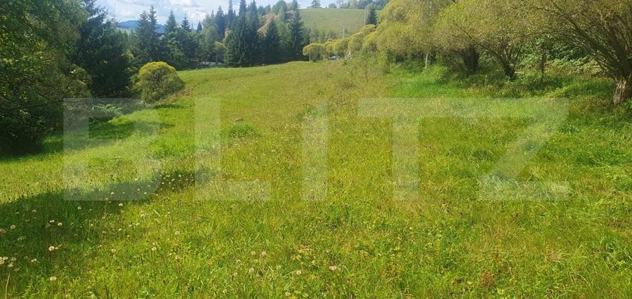 Teren Construcții intravilan de 7362 mp, în Vatra Dornei