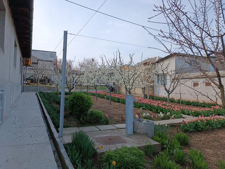Casă cu 4 camere cu Teren 1000 Mp în Medgidia