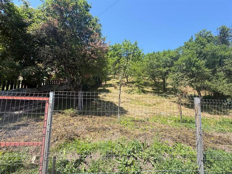 Teren Construcții intravilan de 2316 mp, în Valea Doftanei