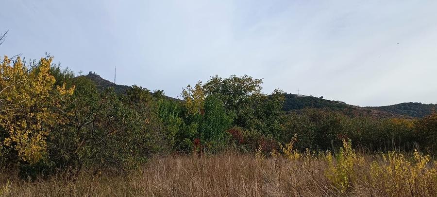 Casă individuală cu 4 camere cu Canalizare în Șiria