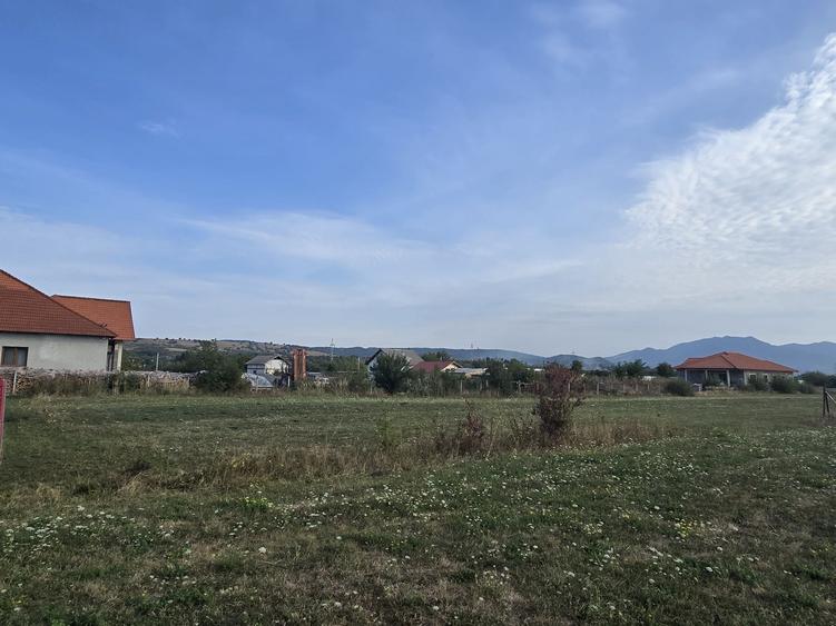 Spațiu comercial, în Livezile