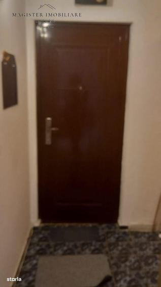 Apartament 1 camera Lunca Resita - 2