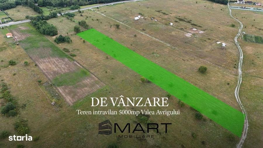 Teren intravilan 5000mp Valea Avrigului - 7