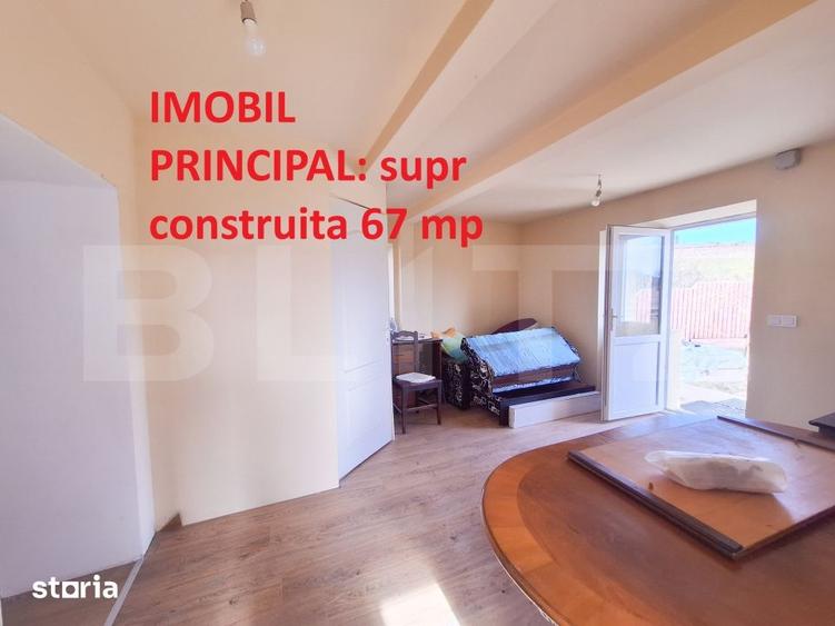 Proprietate cu 3 imobile si 1281 mp teren, Salistea Noua - 13