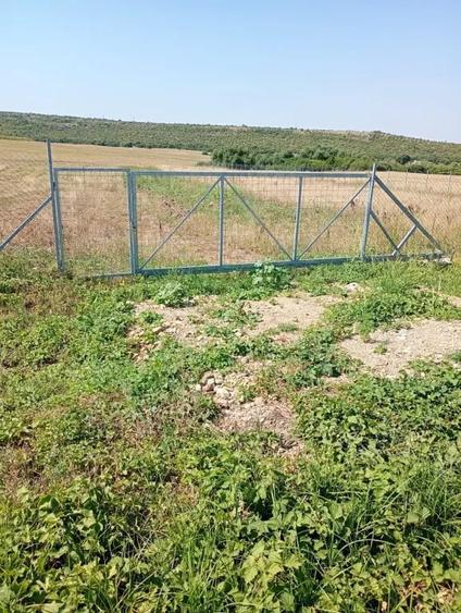 Teren de 6100 mp, în Bencecu de Jos