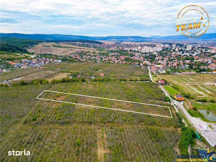 Teren de 6510 mp, în Ilieni