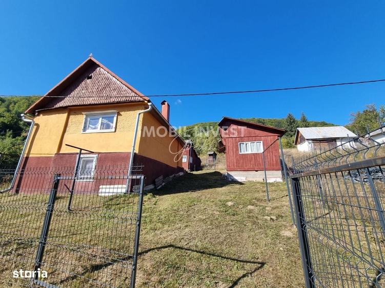 Exclusivitate! Casa in Avram Iancu cu teren de 26.621 mp, 4 camere - 4